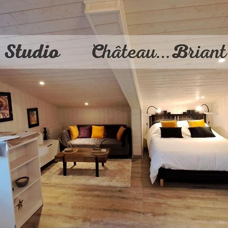 Studio-Centre Ville Chateaubriant Ngoại thất bức ảnh